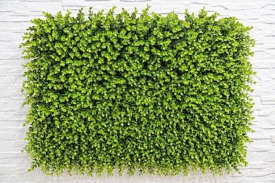 《星刃》玩家精美截图欣赏 性感妹子前凸后翘太美了